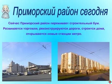 Приморский районный отзывы