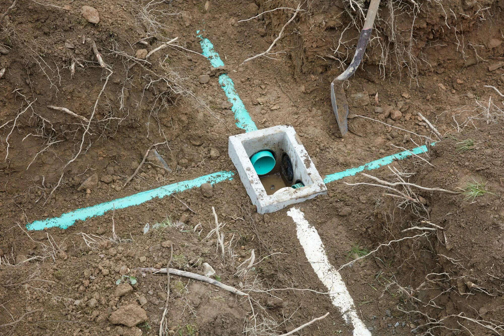 Штраф за септик. Septic system. как правильно ухаживать за септиком. drain photo. drain properly.