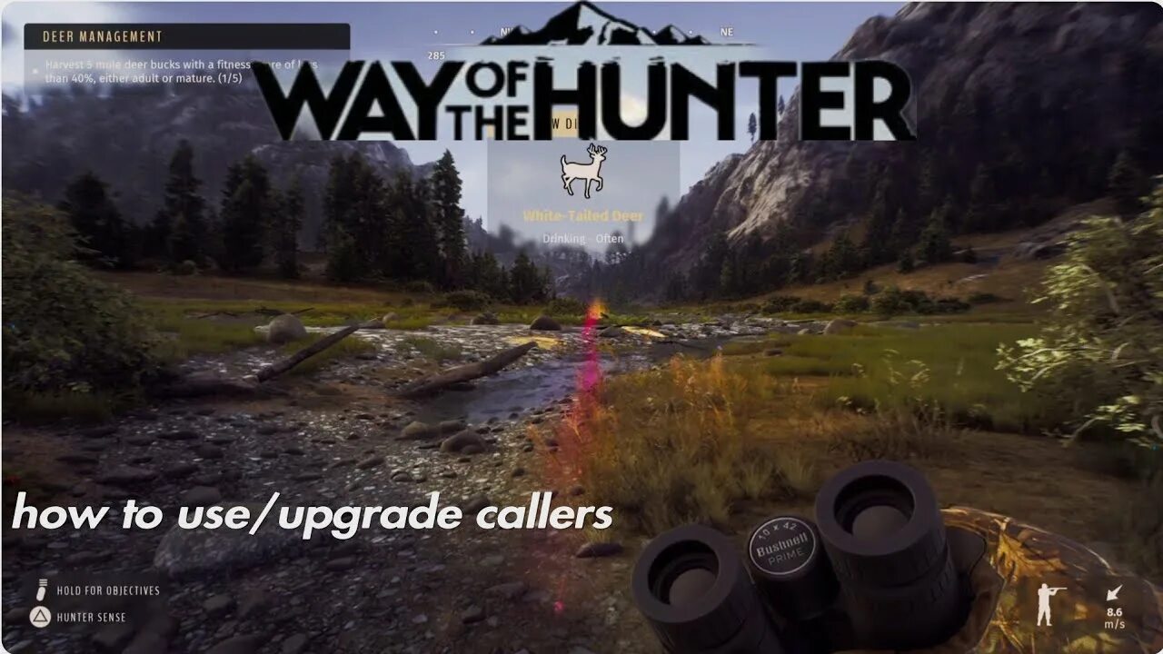 Way of the hunter сохранения. Way of the hunter сохранения