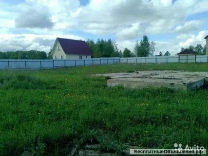 24 сотки