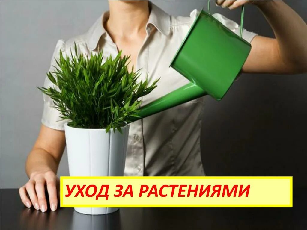 Ищу ухаживающую