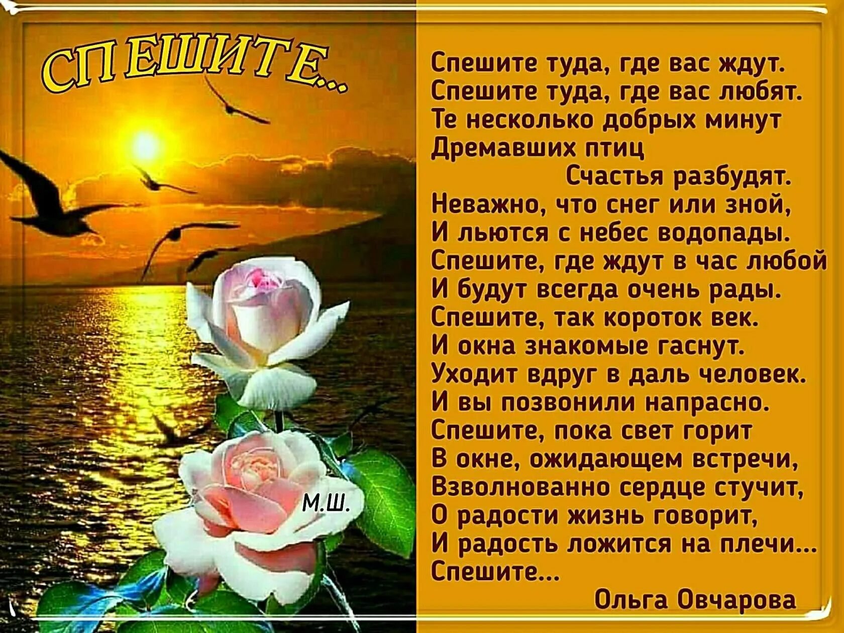 Песня жизнь и ей всегда мало. Стихи Ольги Овчаровой в картинках. Стихи Ольги Овчаровой очень хорошие. Стихи про Ольгу.