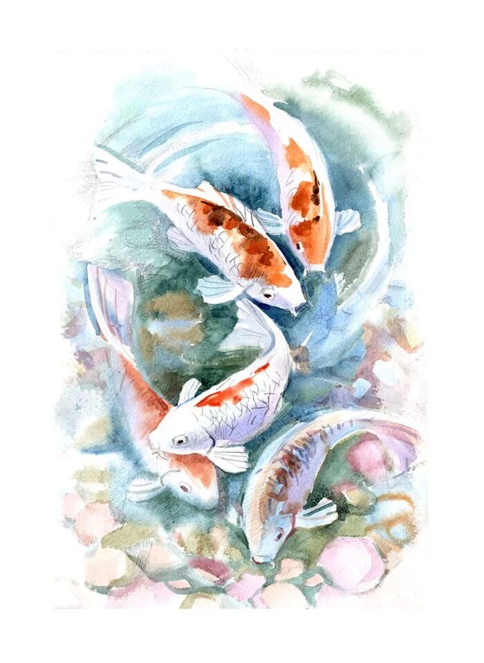 Красивые рыбы арт. Японский карп тату акварель. Кой фиш акварелью. Красивые рыбы акварель. Аквариумные рыбки акварелью.