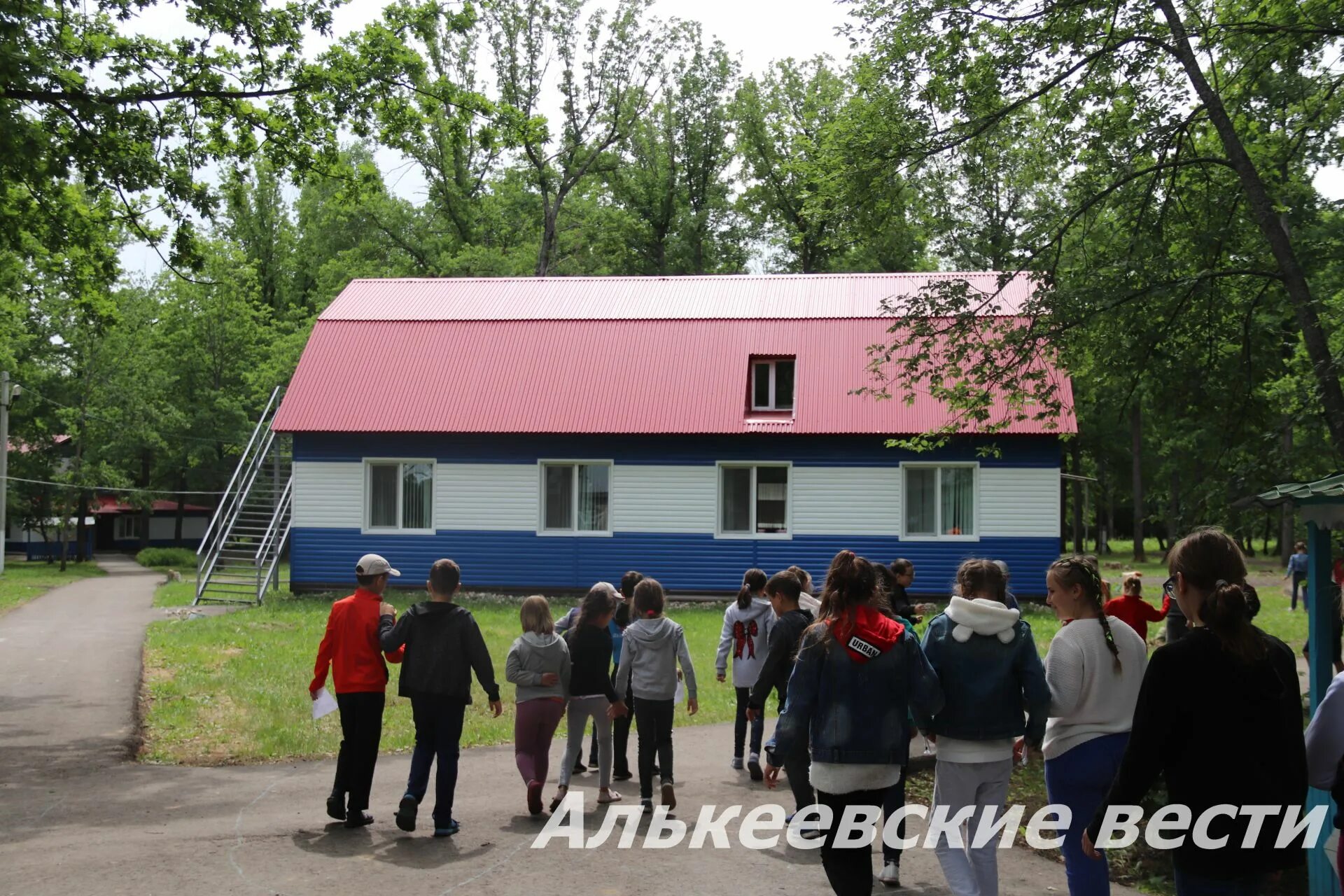 Дол дубки. Оздоровительный лагерь Дубок Алексеевский район. Лагерь Дубки Уфа. Лагерь Дубки Саратов. Лагерь Дубки Павловский Посад.