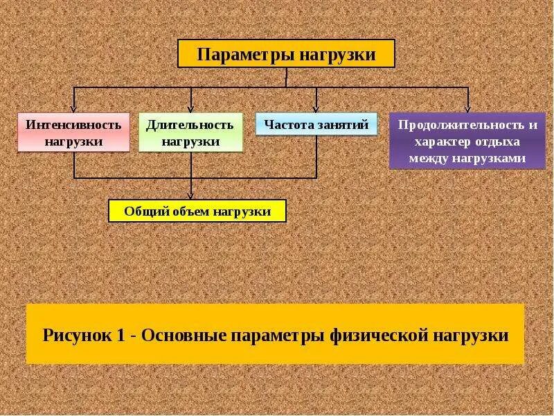 Типы физ нагрузок. Виды физических нагрузок. параметры физической нагрузки. факторы от которых зависит физическая нагрузка. основные параметры физической нагрузки.