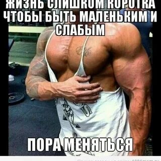 Ату слишком