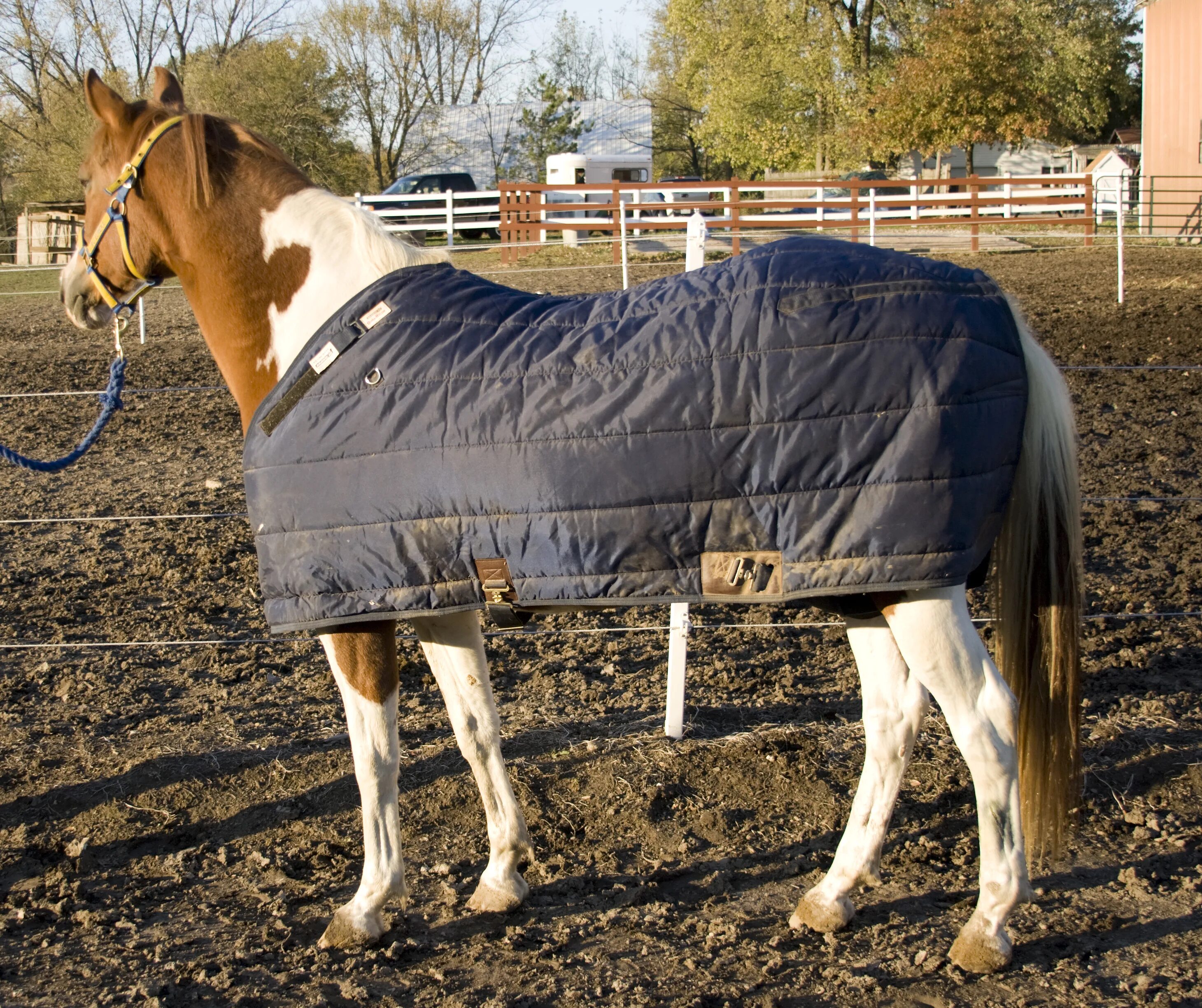 Horse blanket. Horse blanket. Покрыв лошади. Bad equine 420 street. Horse blanket 19th century central asia, auction.
