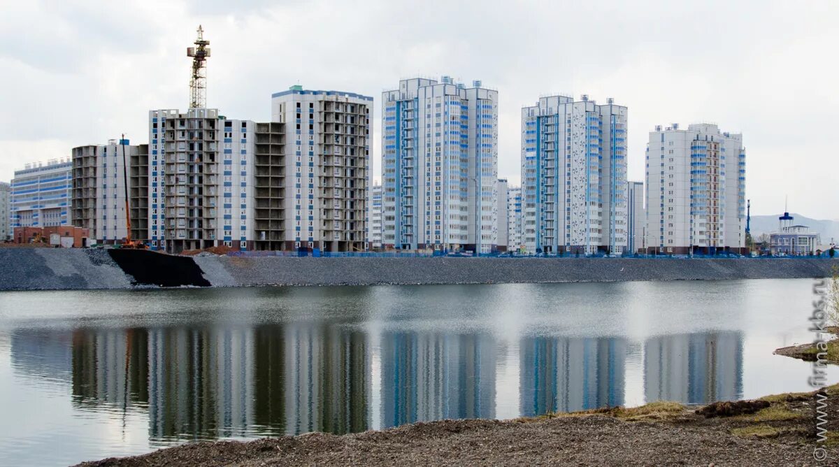 Микрорайон белые росы Красноярск. Жилой комплекс белые росы Красноярск. Красноярск берег белые росы. Белые росы Пашенный. Куплю пашенный красноярск