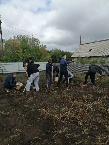 Яготино Алтайский край Благовещенский район. Село Яготино Благовещенского района Алтайский край. Алексеевка Благовещенский район Алтайский край. Леньки Алтайский край Благовещенский район. Погода рп5 алтайский край благовещенский