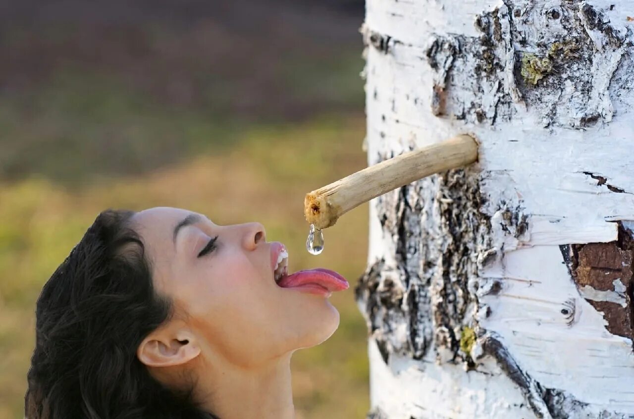 Владислав кузьмичев художник. Девочка пьющая березовый сок. Девочка пьющая березовый сок. Березовый сок карикатура. Девочка пьющая березовый сок.