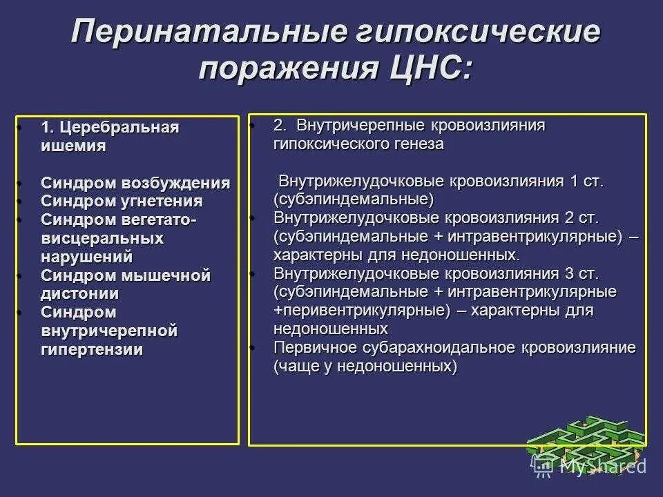 Церебральная ишемия у новорожденного 2. Синдромы острого периода перинатального поражения ЦНС. Перинатальные повреждения ЦНС восстановительный период. Причины перинатального повреждения ЦНС. Гипоксическое поражение.