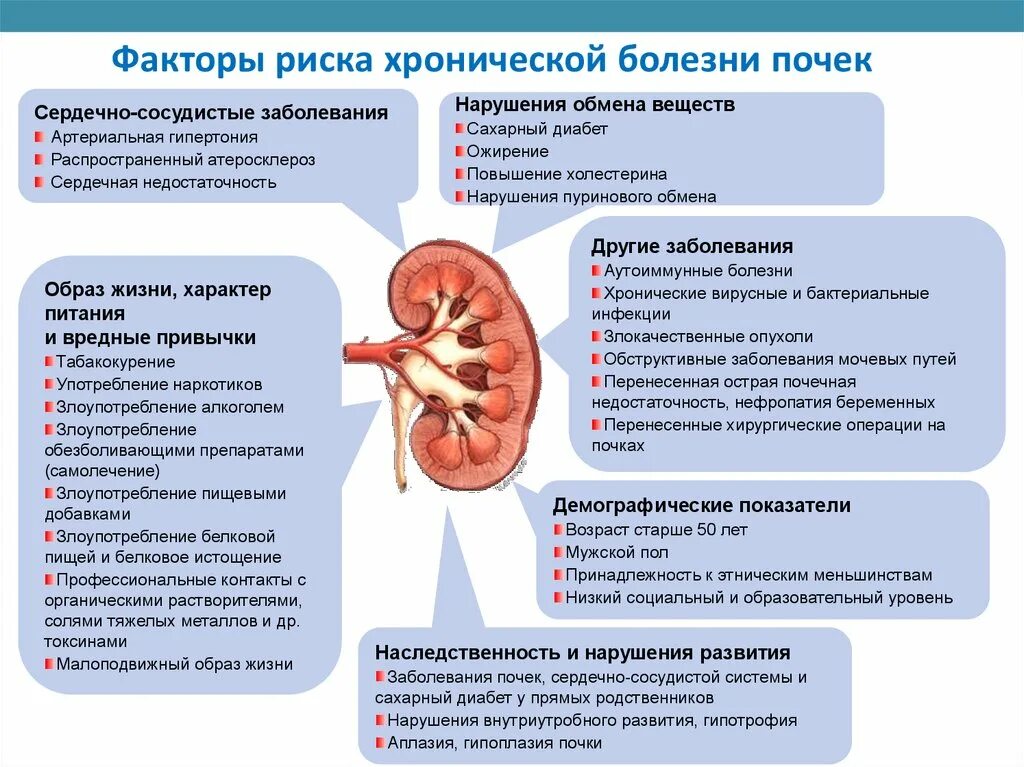 Пиелонефрит урологии. Хронический пиелонефрит факторы риска развития заболевания. болезнь с почками полинефрит. факторы развития хронической почечной недостаточности. факторы риска пиелонефрита у взрослых.