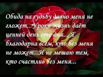 Жизнь дает уроки