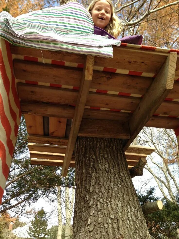 Make a tree house