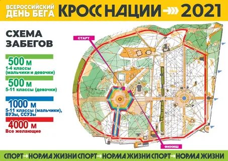 1 июня белоусовский парк тула