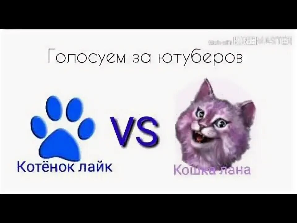 Как выглядит котенок лайк в жизни
