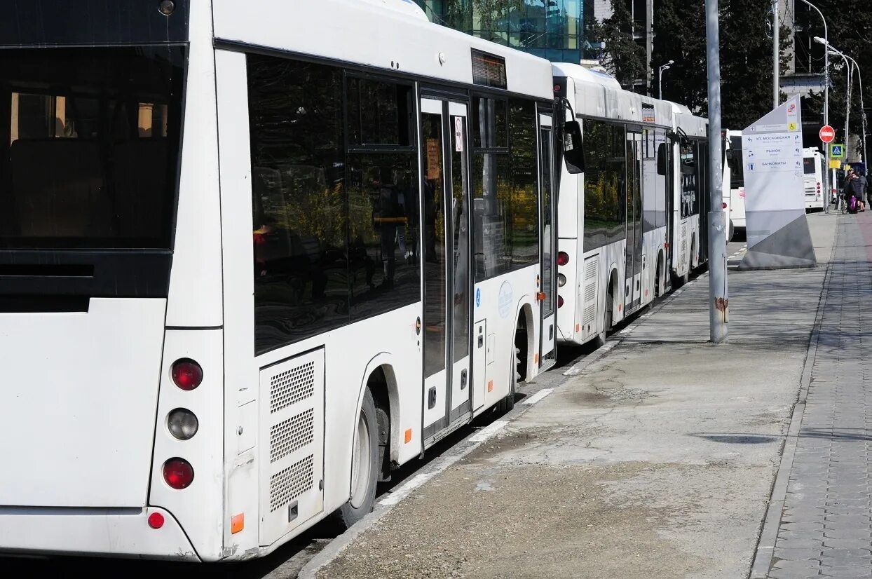 Новые автобусы сочи. Автобусы Сочи. Сочи новые автобусы. Общественный транспорт Сочи. Сочинский автобус МАЗ.