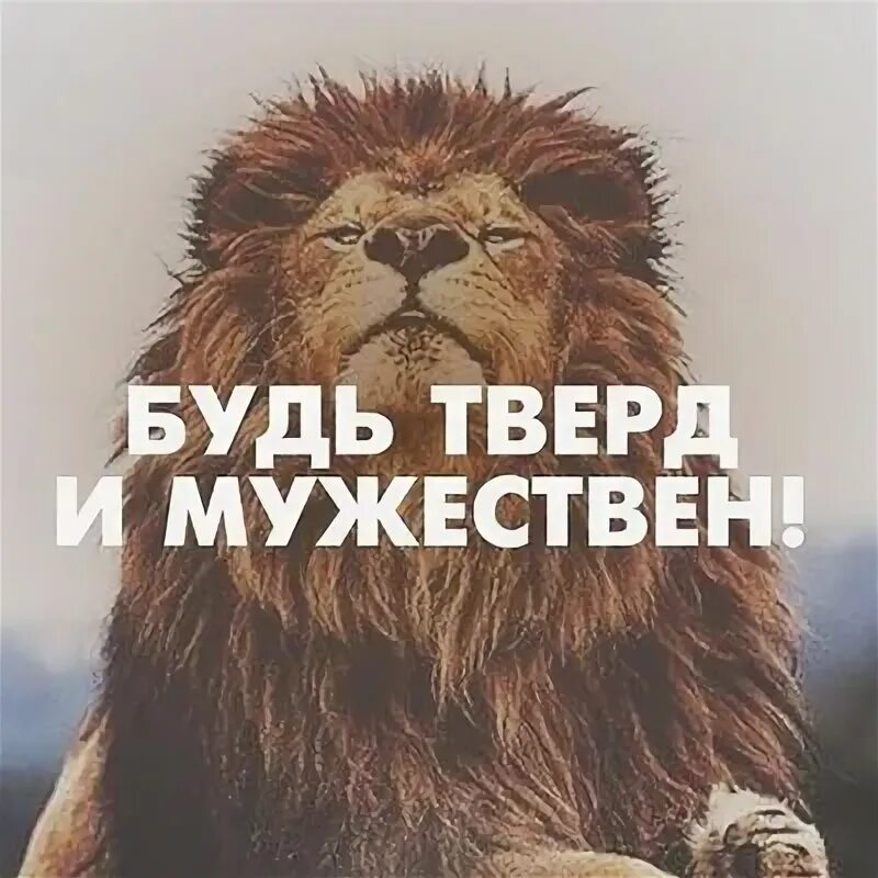 Книга иисуса навина. Книга иисуса навина 1 9. Будь мужественным библия. Отчаяние бывает только тогда когда есть ожидание. Цитаты из библии мотивирующие.