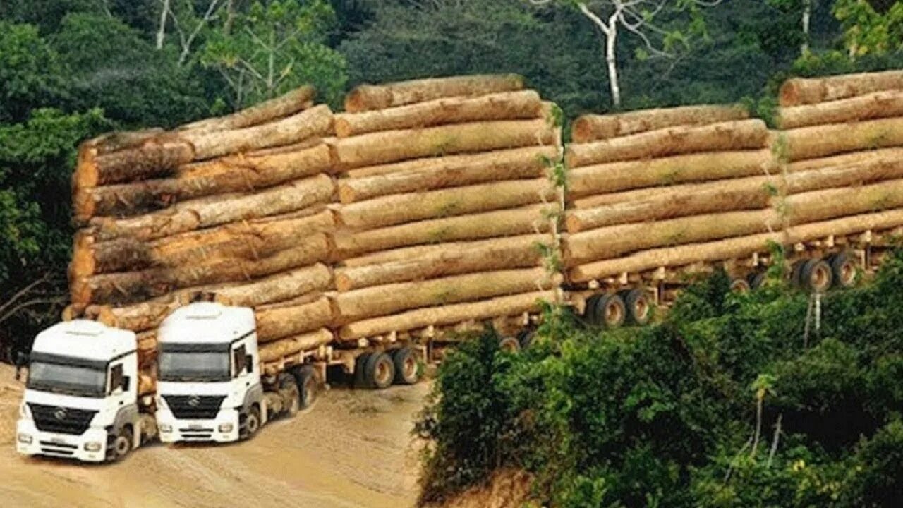 Logging persistent