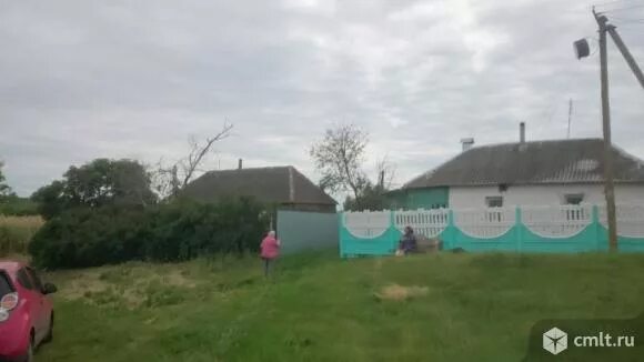 Село запрудское воронежская область. Погода в запрудском каширского. Запрудское воронежская область. Село запрудское воронежская область. Воронежская область, каширский р-н, с.