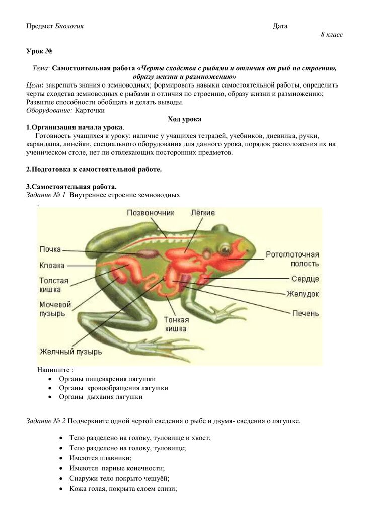 Сходства и различия внутреннего строения лягушки и рыбы. Сходства рыб и земноводных. Сходство и отличие земноводных и рыб. Сходства и различия земноводных и рыб. Назовите черты сходства строения земноводных и рыб