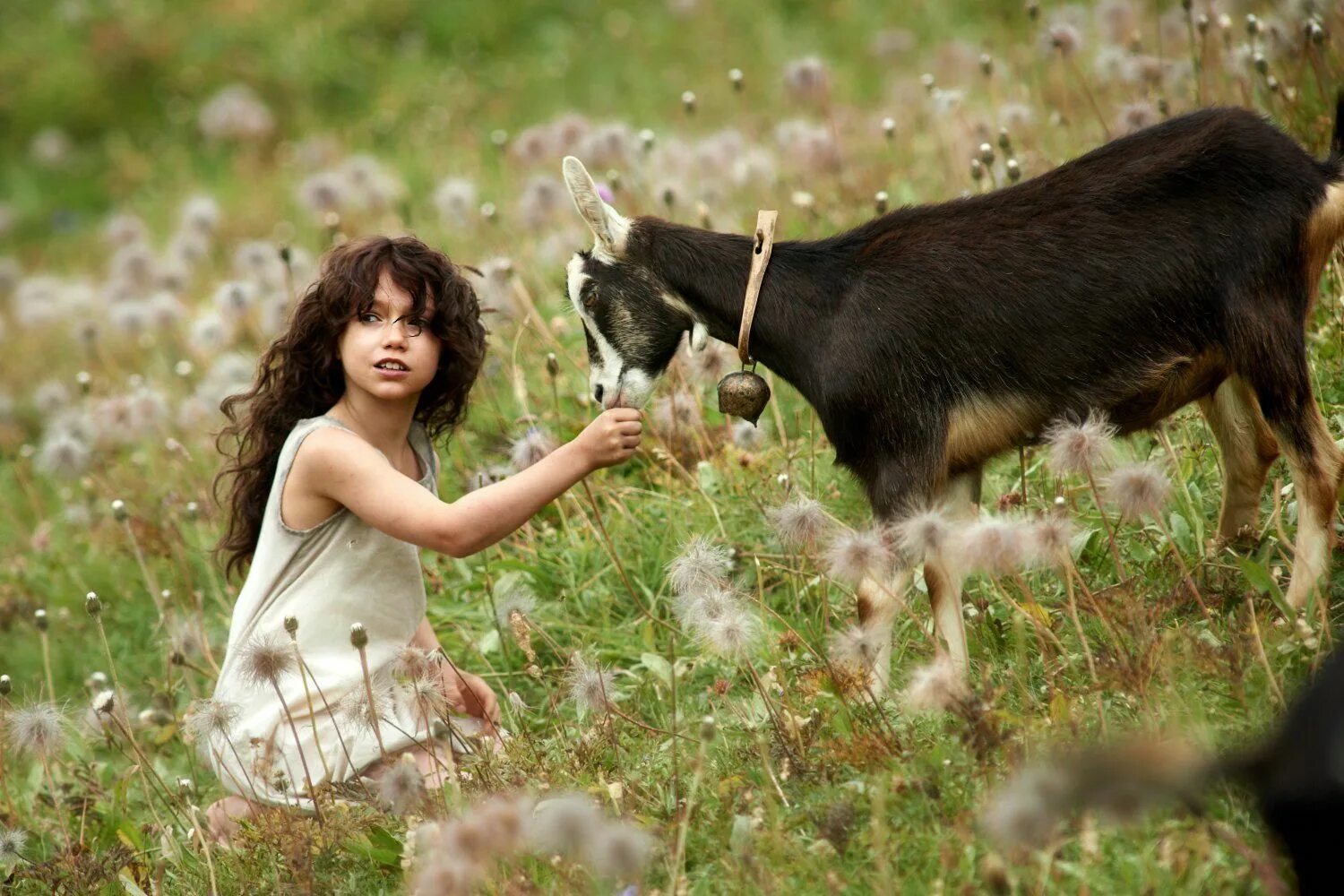 Хайди эйган. Хайди (Heidi), 2015. Хайди Альпийская сказка 2015. Анук Стеффен Хайди. Хайди 2005.