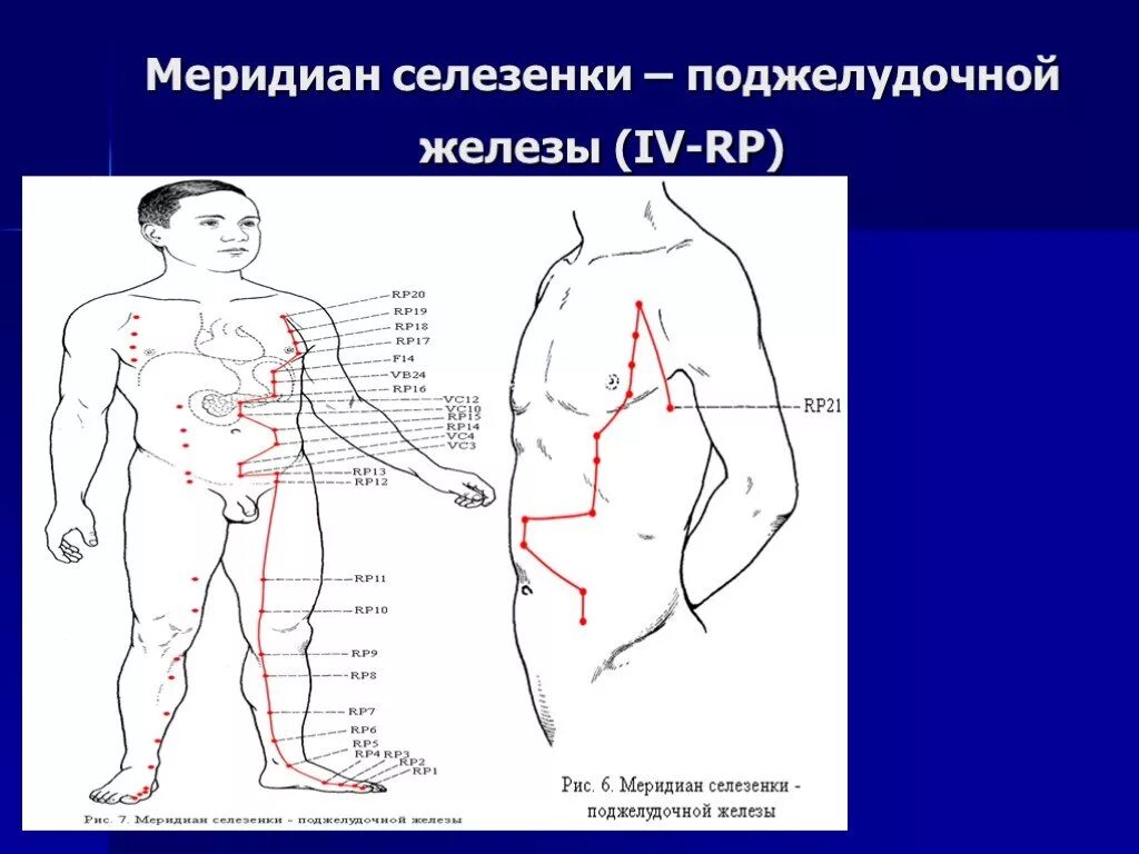 Меридиан селезенки схема. Меридиан поджелудочной железы активность. Поджелудочная китайская медицина. Меридиан поджелудочной железы. Поджелудочная китайская медицина.