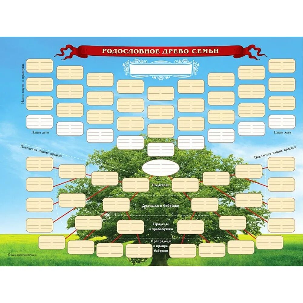 Родословная образец оформления 2 класс