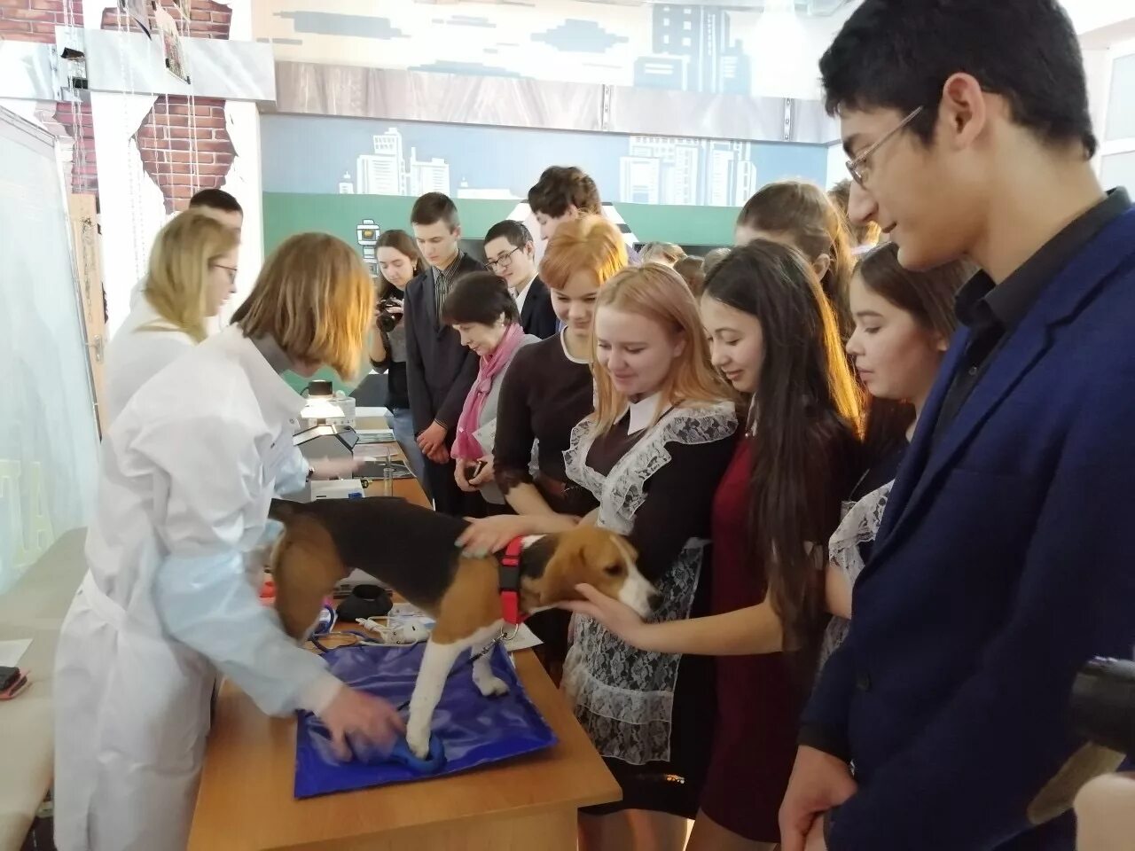 Новоузенский агротехнологический техникум. Школа молодого ветврача. Ветеринарный техникум красноярск. Ветеринария ульяновск колледж. Аграрный колледж ветеринария.