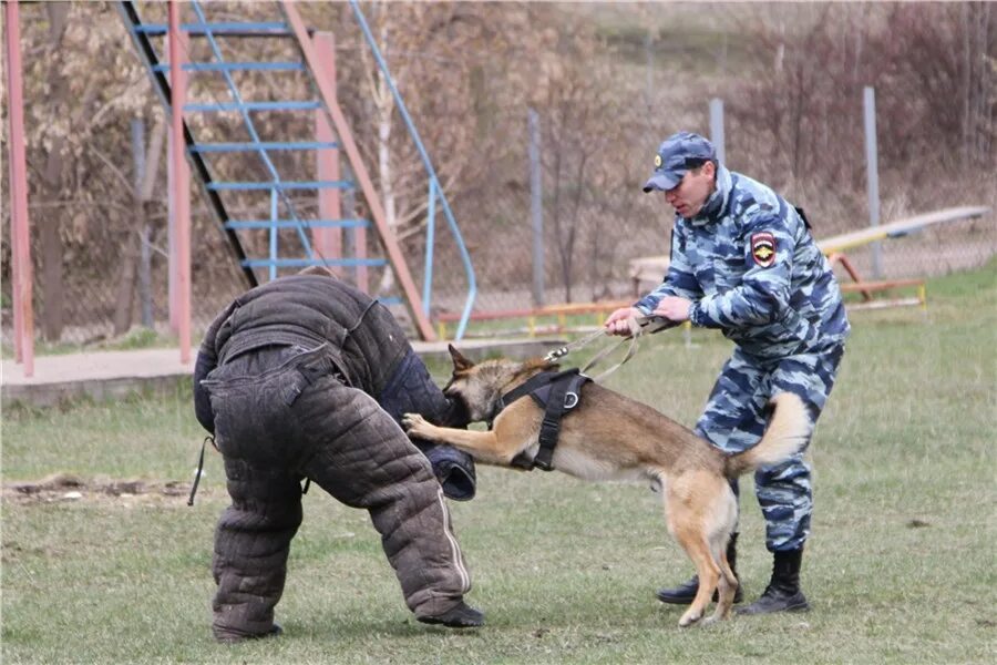 Отразить нападение