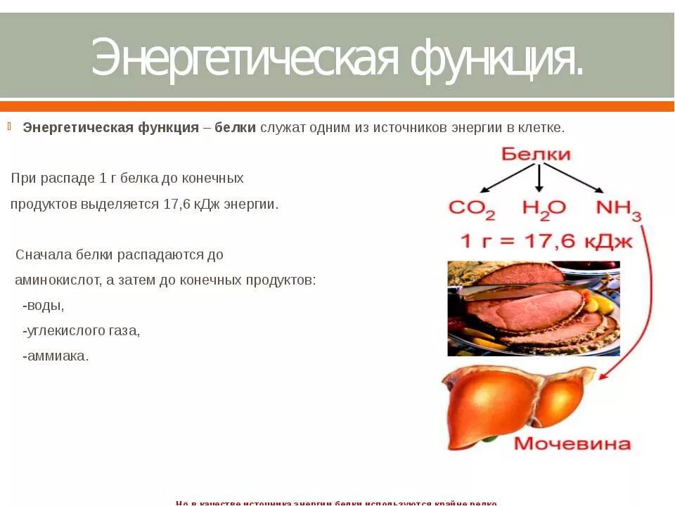 Энергетическая функция белков. Энергетическая функция белков примеры белков. Энергетическая функция белков характеристика. Энергетическую функцию выполняет белки. Энергетическую функцию выполняет белки.