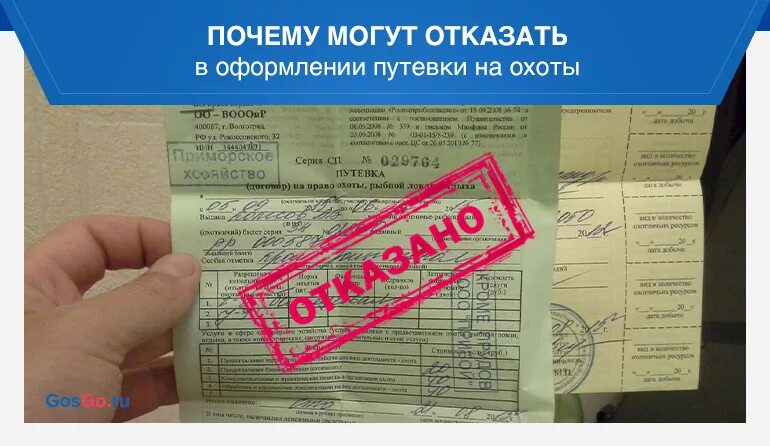 Путевка на зайца. Путевка на охоту. Заполнение заявления на получение путевку на охоту. Выдача путевок на охоту.