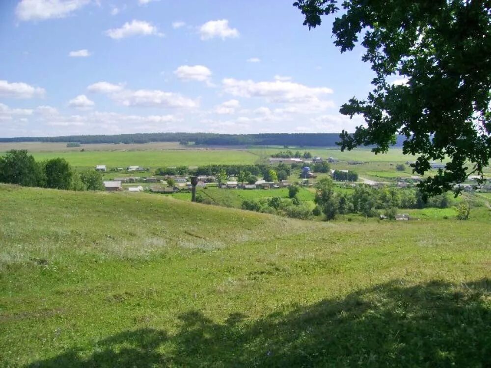 Село нова. Шенталинский район природа. Природа Шенталинского района Самарской области. Село новый Кувак Шенталинский район Самарская область. Новый Кувак Шенталинского района Самарской области.