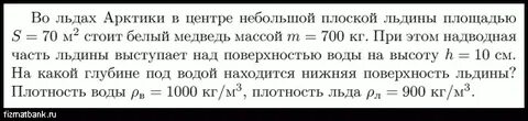 Масса медвежонка составляет 15 процентов массы белого