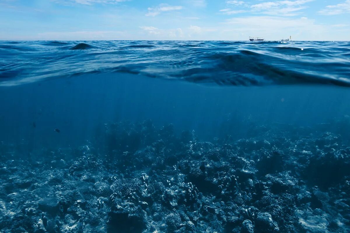 Края далеких океанов. Карибское море Атлантический океан. Океаны. Глубина. Дно океана. Глубокое море.