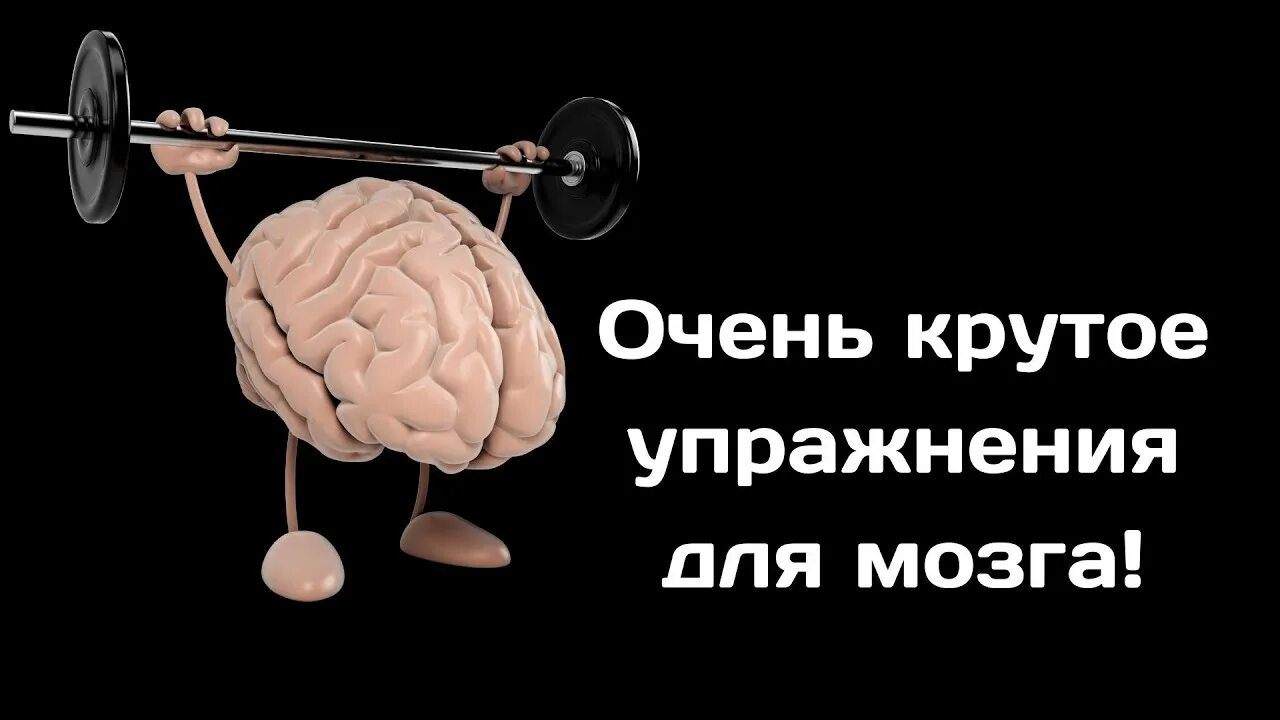 Тренировка мозга. Упражнения для мозга. Тренируем мозг. Тренировка мозга картинки. Тренажер для мозга и памяти взрослым