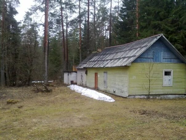 Лагеря в новгородской области. Пионерский лагерь Новгородская область. Пионерский лагерь Лесное Новгородская область. Пионерлагерь зеленый шум Кабожа. Лагерь зеленый шум Новгородская обл Кабожа.