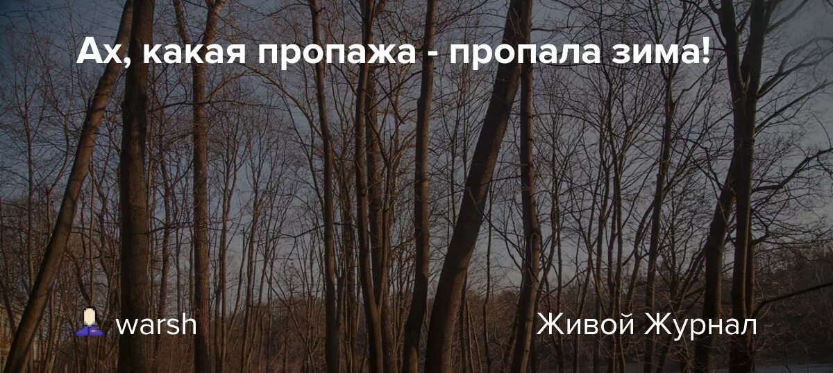 Что пропало зима. Пропала зима тексты. Ах какая зима. Каком городе зима нету. С ней зима теплее лета песня