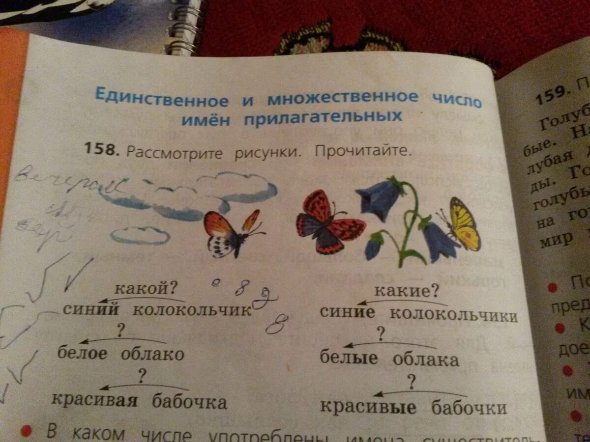 Указать над именами существительными число. Укажите над именами существительными число. Бабочка какая прилагательные.