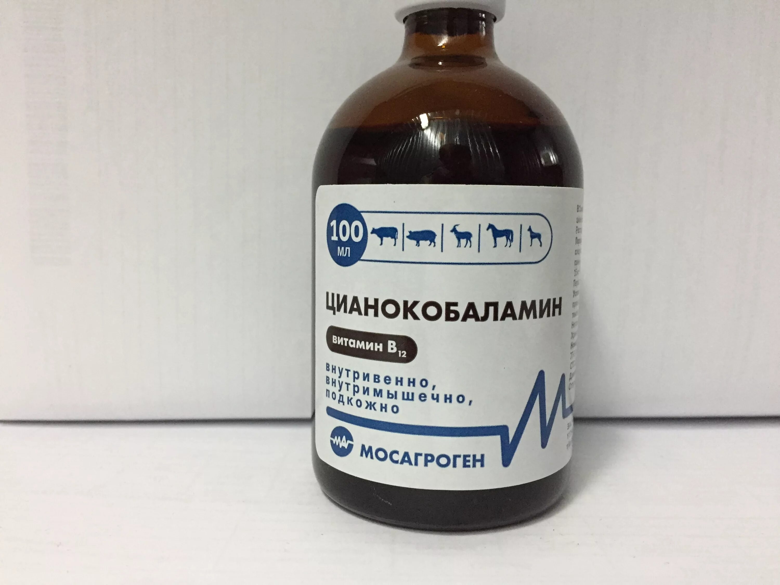 Б 12 для животных