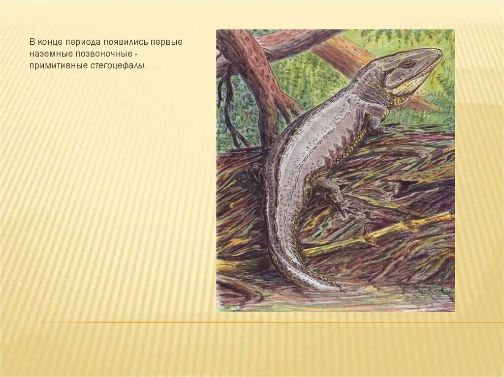 Палеозойская эра земноводные. Какое было первое позвоночное на нашей планете. Бесчелюстные позвоночные ордовик. Стегоцефал. В какой период появились позвоночные.