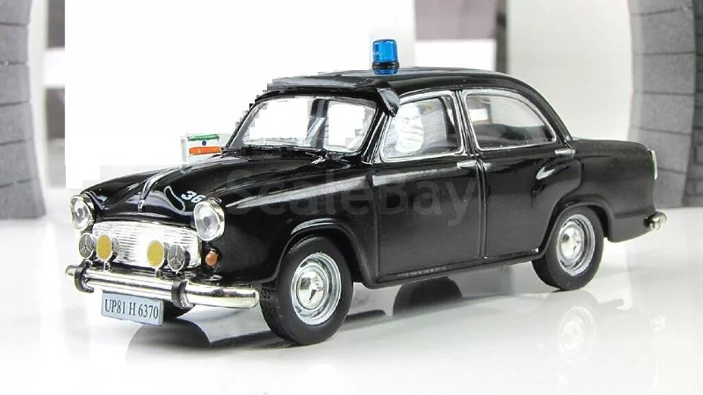 Ambassador models