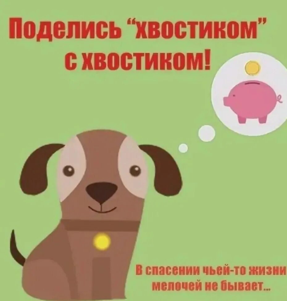 Хвостатая помощь складочная отзывы