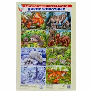 Дикие животные 3