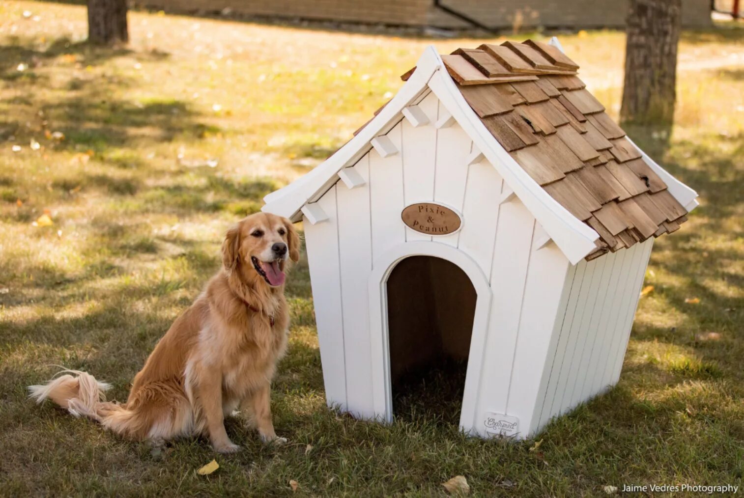 Dog house casino dog houses info. Собака с конурой. Будка для собаки. Домик для собаки. Домики для домашних собак.