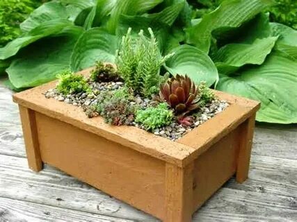 What goods were made from the plant