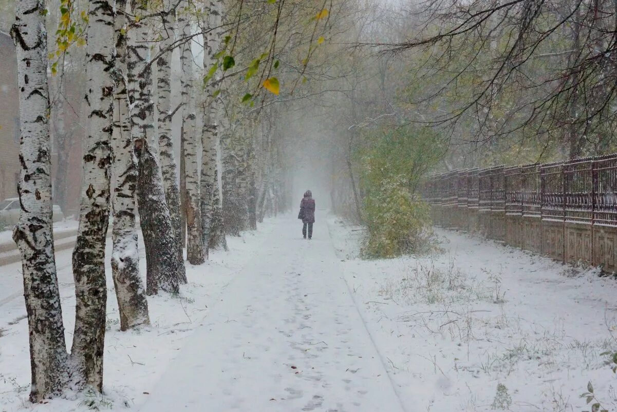 Снежком припорошило. Первый снег. Снежная осень в городе. Первый снег в городе. Снегопад в городе.