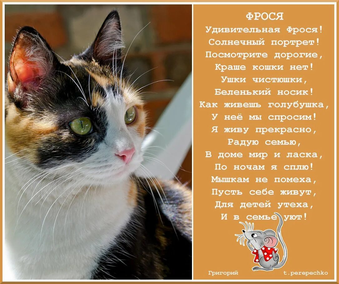 Агурбаш фрося бурлакова. Фрося полное имя. Екатерина савинова. Фрося надпись. Фрося.