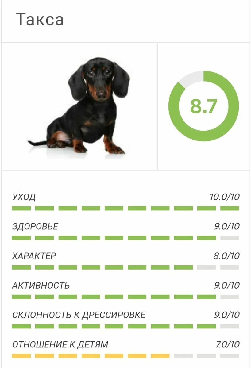 Список Стенли корена самых умных собак. IQ пород собак. Самые умные собаки по породе. Уровень интеллекта собак. Рейтинг умных пород