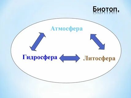 Факторы ограничивающие жизнь в литосфере